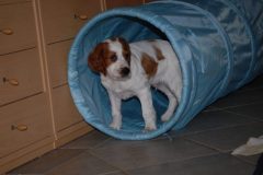 Chuma im Tunnel